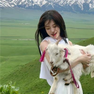 梦想夏乡